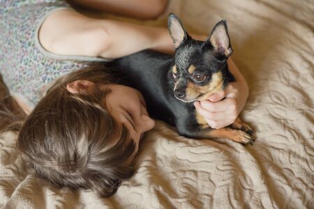 Very beautiful long-haired little girl with a dog Chihuahua.の写真素材