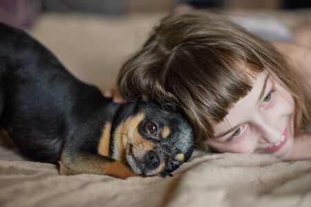 Very beautiful long-haired little girl with a dog Chihuahua.の写真素材