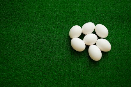Easter concept - white eggs in green glass. Chicken eggs on artificial grass.の写真素材