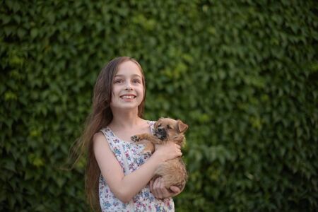 A little blond girl with her pet dog outdooors in park. The girl loves a little puppy. A dog in the arms of a child. Summer rest.の写真素材