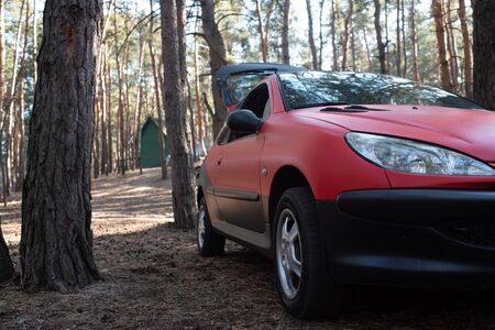 Car vacation in summer or early fall. Life style family you went on a picnic to the forest in a red car. Photo taken at sunset. picnic, car parked in a clearing in the mountains on the green grassの写真素材