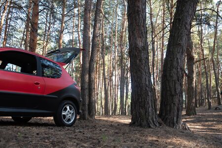 Car vacation in summer or early fall. Life style family you went on a picnic to the forest in a red...