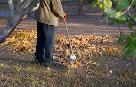 Abstract cleaning swimming pond in the park from fallen leaves with skimmer, autumn, job in the city outdoors, seasonal mood. Janitor cleans leaves in autumnの写真素材