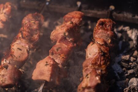 Close-up of grilling tasty dish on barbecue. Process of cooking yummy shashlik in nature. Delicious...