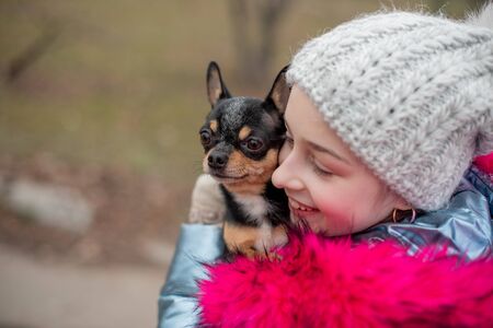 A little chihuahua is laying in the arms of his owner. School child in winter clothes on the street. Beige hat. Girl 9 years old. Chihuahua dog in his arms. Chihuahua black brown whiteの写真素材