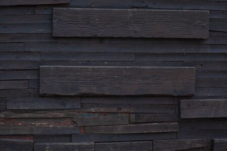 bark of tree texture. Wood bark texture. Part of a tree in daylight. The invoice for designers. Tree...