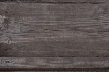 bark of tree texture. Wood bark texture. Part of a tree in daylight. The invoice for designers. Tree...