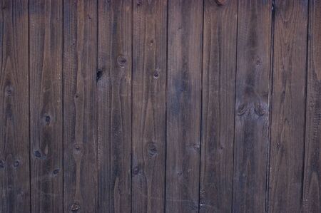 bark of tree texture. Wood bark texture. Part of a tree in daylight. The invoice for designers. Tree...