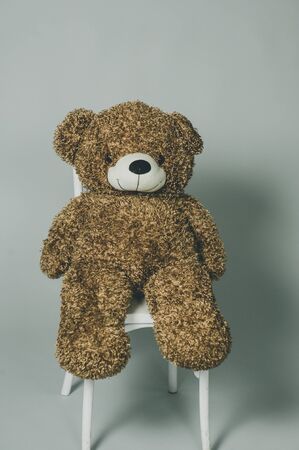 Teddy Bear. Brown teddy bear on gray background. A plush brown shot in a photo studio on a bar stool. A toy. Childhood. Little Brown Bear Doll on gray backgroundの写真素材
