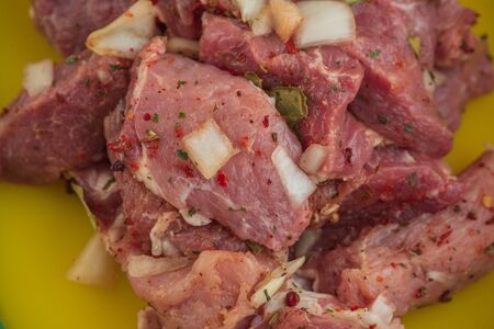 Kebab - pieces of pork and chopped onion, photographed close-up. Pork chopped into pieces on a...