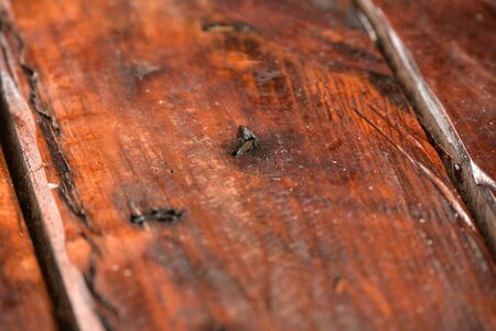 Dark black boards background with blotches of red color. Old wet wood texture pattern after rain. Wood texture after rain. Background for designers woodenの写真素材