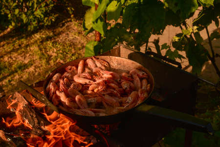 shrimp. Shrimps are cooked in a pan over a fire. Bonfire seafood. Food photography