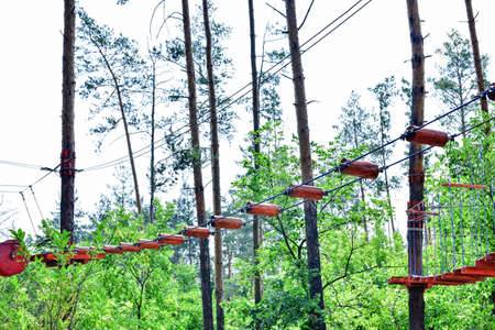 Rope town. Active family vacation in the open air. Elements of a rope town in the park. Rope town in the forestの写真素材