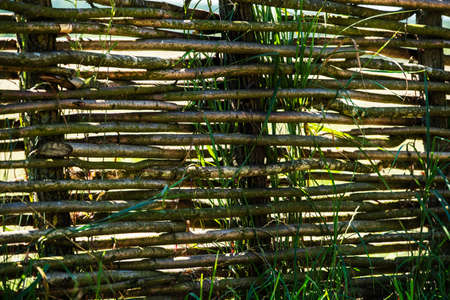 Fence wicker from the vine, texture, background. Wicker vine fence. woven vines texture embossed background. Organic woven willow wicker fence panel suitable for crafts, picnic or gardening backgroundの写真素材