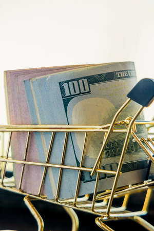 Supermarket grocery push cart for shopping with bundle of dollars money banknote cash. Dollars in the cart. Finance conceptの写真素材