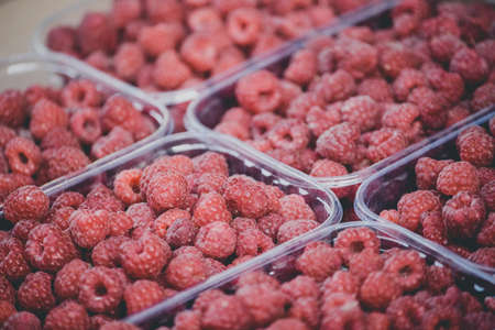 fresh, red raspberries in plastic fruit container. Fresh raspberry in plastic box at market, local food organic healthy backgroundの写真素材