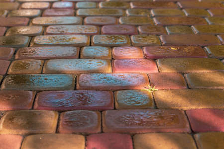 pink paving slab after rain for background. Wet red paving slabs after rain. The texture of the...