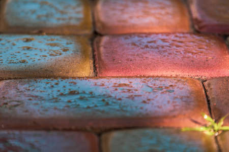 pink paving slab after rain for background. Wet red paving slabs after rain. The texture of the...