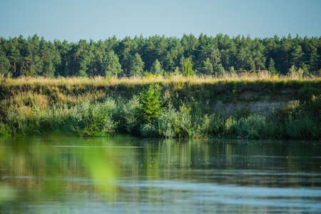 River and trees. Summer river with bright blue sky. Summer vacation nature