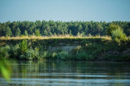 River and trees. Summer river with bright blue sky. Summer vacation nature