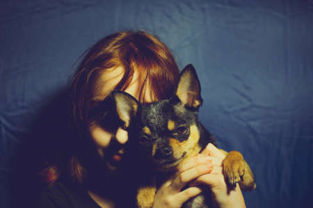Young girl with pet dog. A 9 or 10 year old school girl with a Chihuahua. A portrait of girl keeping...