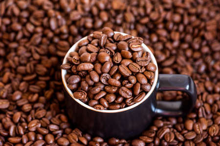 Arabica coffee beans. Coffee cheerfulness, aroma. Fresh coffee beans, medium roast