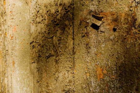 old wooden board background. Wood background.