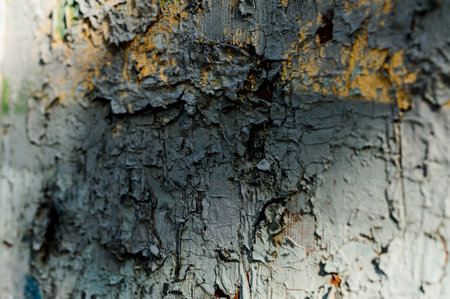 rusty metal background closeup. Corroded white metal background. Rusted white painted metal wall. ...の写真素材