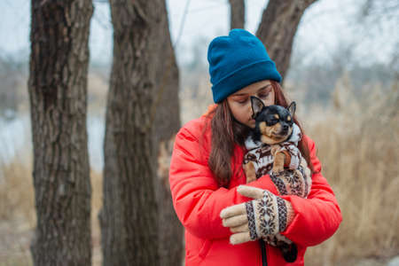 Chihuahua dog with girl. portrait of young girl in her warm clothing. Teenage girl kissing a dogの写真素材