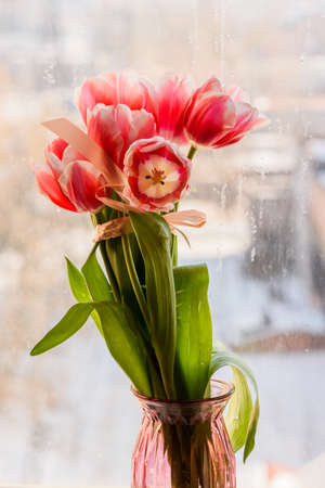 Bouquet of tulips on the background of the window. Spring flowers. Macro photoの写真素材