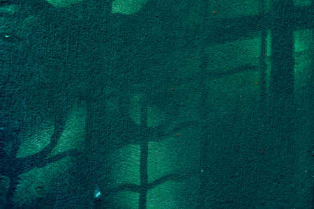 Green colorful cement concrete texture wall. Green background texture wallの写真素材