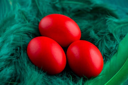 Easter eggs. Colored egg. Easter. Red eggs on green feathersの写真素材