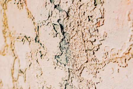 Old beige wall texture in daylight. White light with shadow and highlights and cracksの写真素材