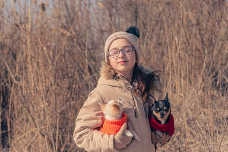 Girl with Chihuahua dogs. The Generation Z girl closed her eyes in delight. Two dogs in dog clothes.