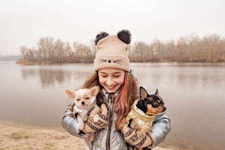 girl, dog. Teenage girl with two chihuahua dogs in her arms. Dogs in clothes. friend owner puppy.の写真素材