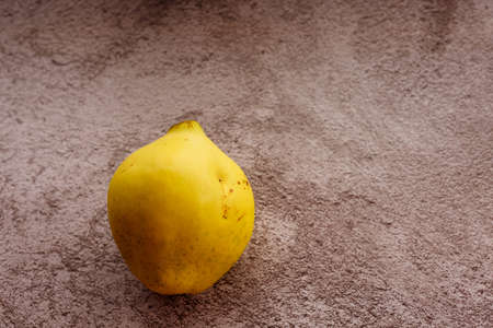 Apple-quince on the dark gray background. Imperfect shape of organic fruit. Quinceの写真素材