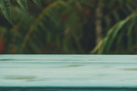 wooden serving tray in the background of nature. Green wood tray. green wood table wooden background