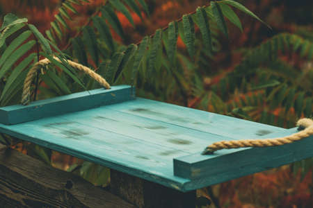 wooden serving tray in the background of nature. Green wood tray. green wood table wooden backgroundの写真素材