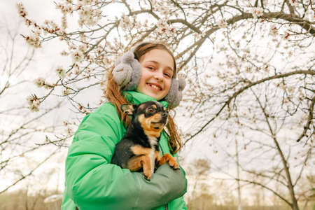 Teenage girl in a green jacket with a chihuahua in her arms in the spring. trees are bloomingの写真素材