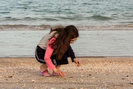 Sea vacation concept. girl, teenage, beach. Teenager girl collects seashells on the beach by the seaの写真素材