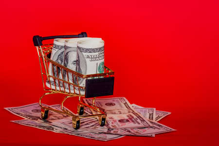 Mini shopping cart with money dollars. Trolley and money. Financial crisis or shopaholic concept.の写真素材