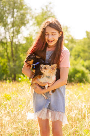 Girl with two dogs. Animals, pet. Positive moment teenager girl and chihuahua.の写真素材