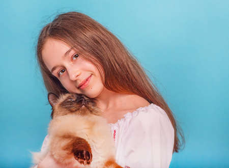 Girl on a blue background. Teen girl with a cat in her arms.の写真素材