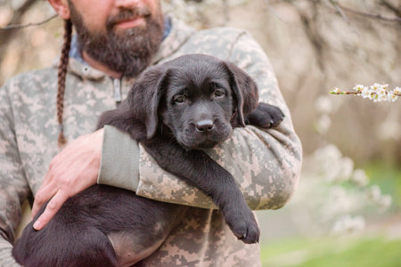 A dog in the arms of a bearded man. A small black Labrador retriever puppy.
