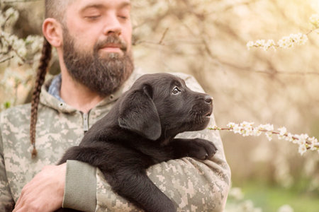 A dog in the arms of a bearded man. A small black Labrador retriever puppy.の写真素材