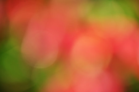 Leaves as a blurred background. Defocus light green and red natural autumn.