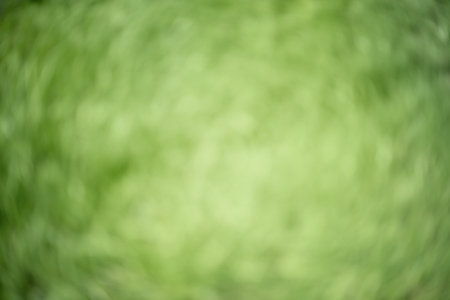 Green blurred abstract background. Defocus light leaves on a tree. Natural bokeh.の写真素材