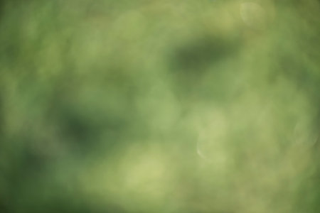 Defocus light green. Blurred defocused abstract natural background.の写真素材