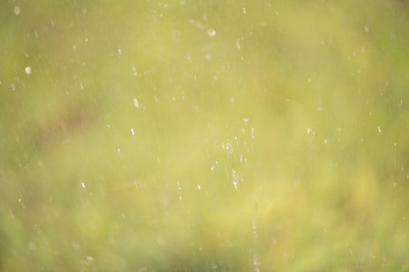 Defocus lights. Drops of water reflect on the background of blurred greenery.の写真素材