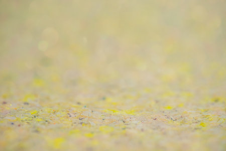 Abstract background. Yellow and beige background with thin focal part and defocus lights.の写真素材